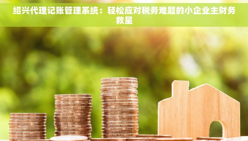 绍兴代理记账管理系统:轻松应对税务难题的小企业主财务救星 绍兴代理记账管理系统:轻松应对税务难题的小企业主财务救星