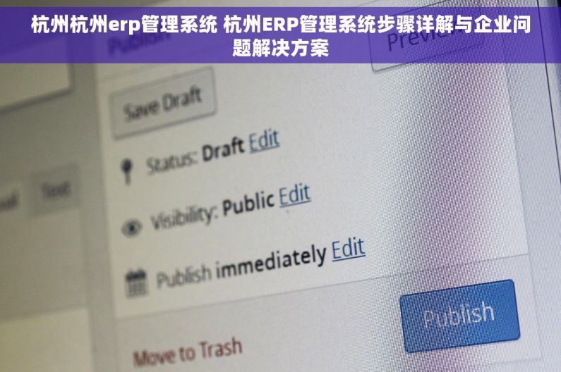 杭州杭州erp管理系统 杭州ERP管理系统步骤详解与企业问题解决方案