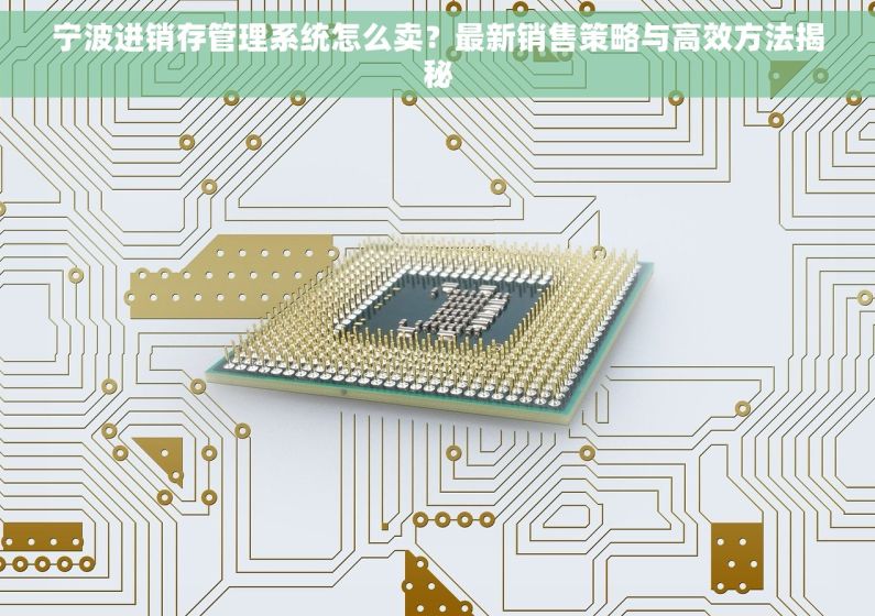 宁波进销存管理系统怎么卖?最新销售策略与高效方法揭秘 宁波进销存管理系统怎么卖?最新销售策略与高效方法揭秘