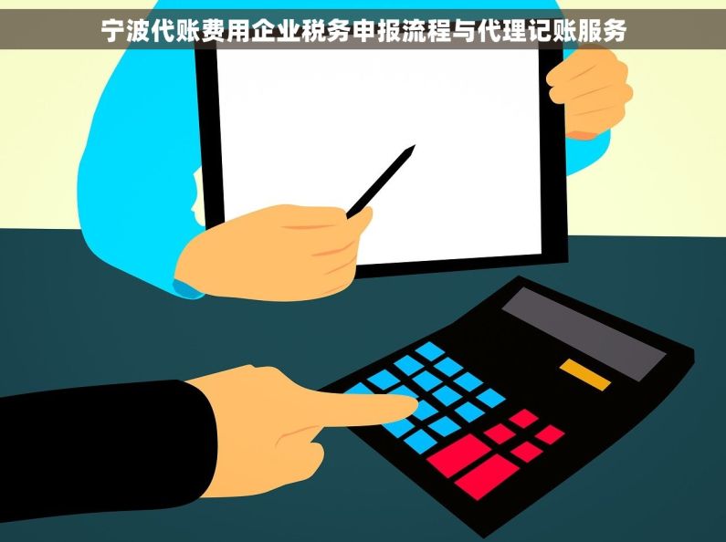 宁波代账费用企业税务申报流程与代理记账服务