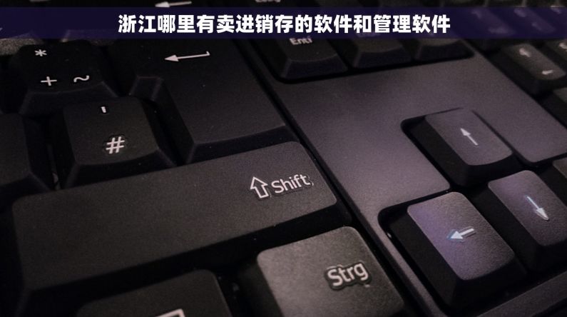 浙江哪里有卖进销存的软件和管理软件