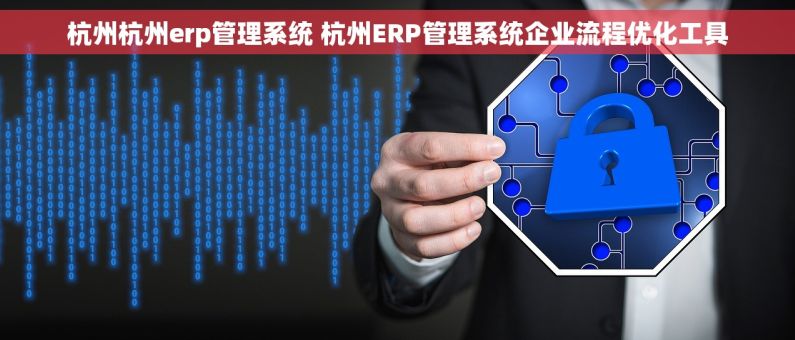 杭州杭州erp管理系统 杭州ERP管理系统企业流程优化工具