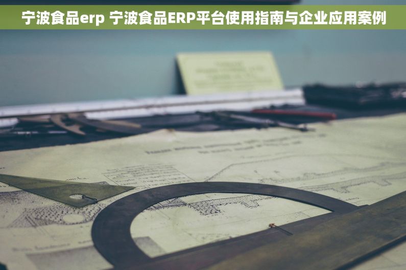 宁波食品erp 宁波食品ERP平台使用指南与企业应用案例 宁波食品erp 宁波食品ERP平台使用指南与企业应用案例