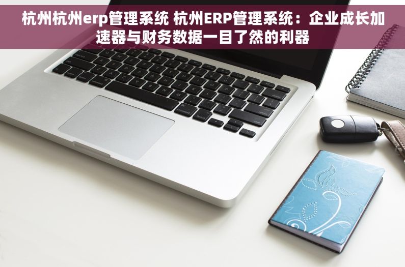 杭州杭州erp管理系统 杭州ERP管理系统:企业成长加速器与财务数据一目了然的利器 杭州杭州erp管理系统 杭州ERP管理系统:企业成长加速器与财务数据一目了然的利器