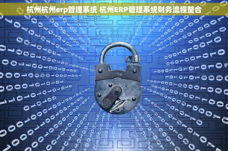 杭州杭州erp管理系统 杭州ERP管理系统财务流程整合