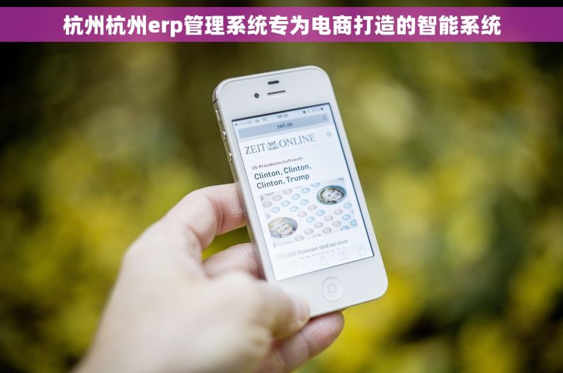 杭州杭州erp管理系统专为电商打造的智能系统 杭州杭州erp管理系统专为电商打造的智能系统