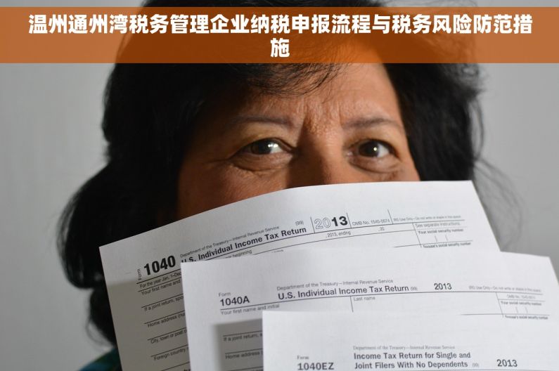 温州通州湾税务管理企业纳税申报流程与税务风险防范措施