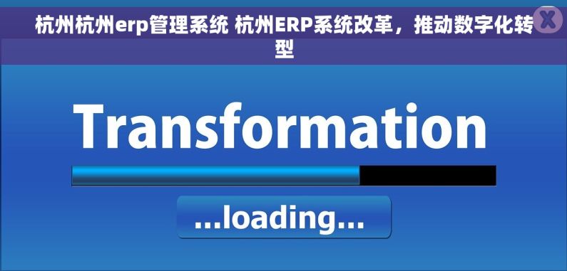 杭州杭州erp管理系统 杭州ERP系统改革，推动数字化转型
