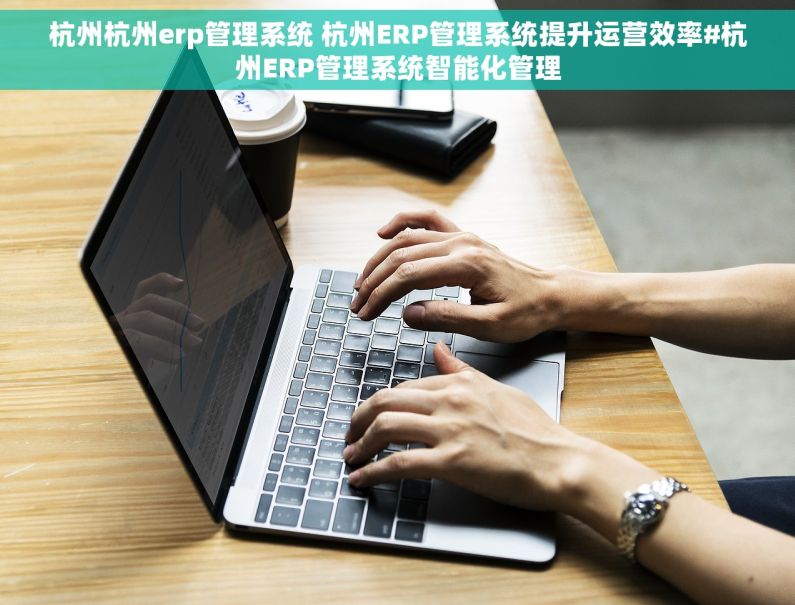 杭州杭州erp管理系统 杭州ERP管理系统提升运营效率#杭州ERP管理系统智能化管理