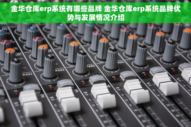 金华仓库erp系统有哪些品牌 金华仓库erp系统品牌优势与发展情况介绍