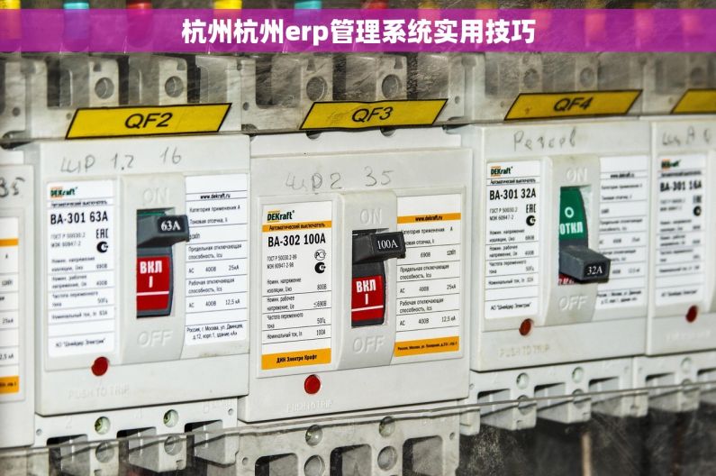 杭州杭州erp管理系统实用技巧