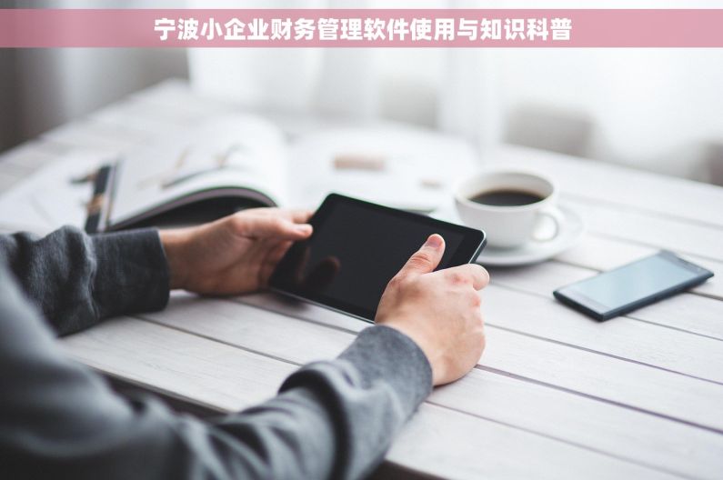 宁波小企业财务管理软件使用与知识科普