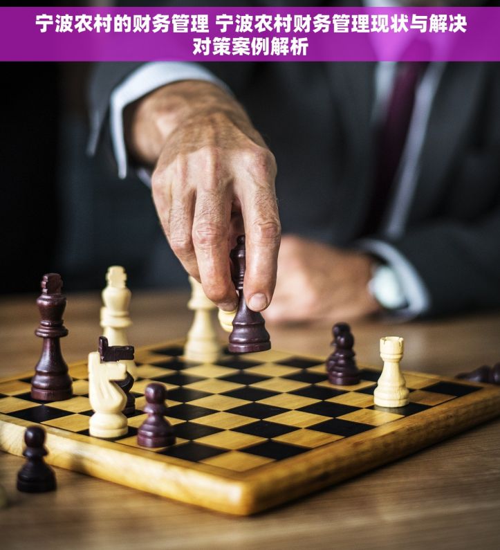 宁波农村的财务管理 宁波农村财务管理现状与解决对策案例解析