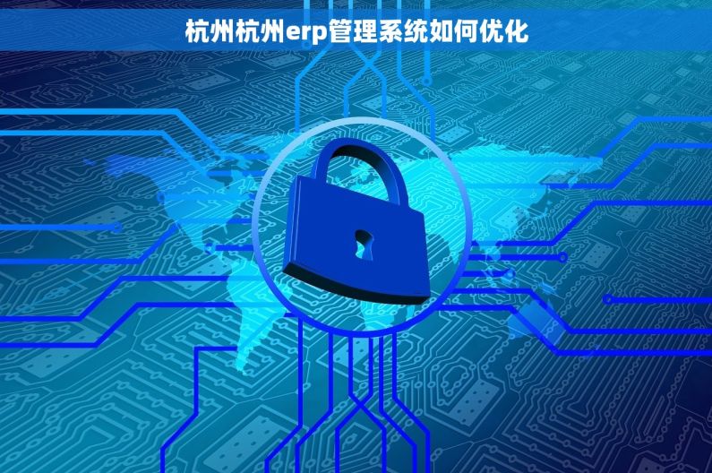 杭州杭州erp管理系统如何优化