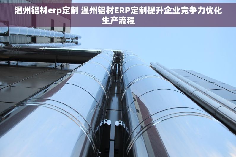 温州铝材erp定制 温州铝材ERP定制提升企业竞争力优化生产流程 温州铝材erp定制 温州铝材ERP定制提升企业竞争力优化生产流程