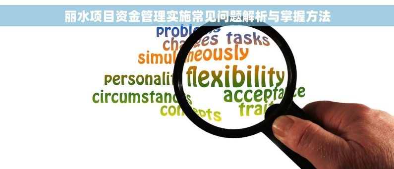 丽水项目资金管理实施常见问题解析与掌握方法