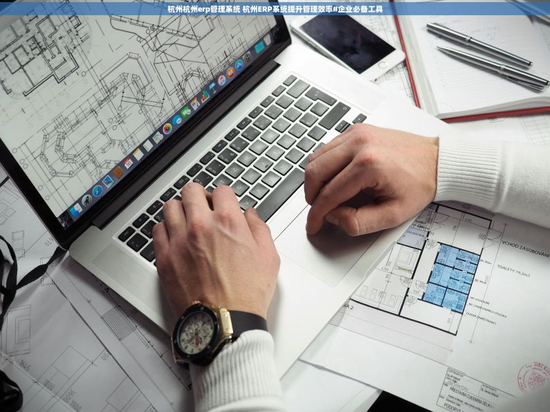 杭州杭州erp管理系统 杭州ERP系统提升管理效率#企业必备工具