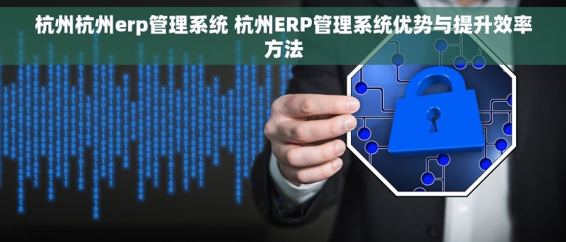 杭州杭州erp管理系统 杭州ERP管理系统优势与提升效率方法