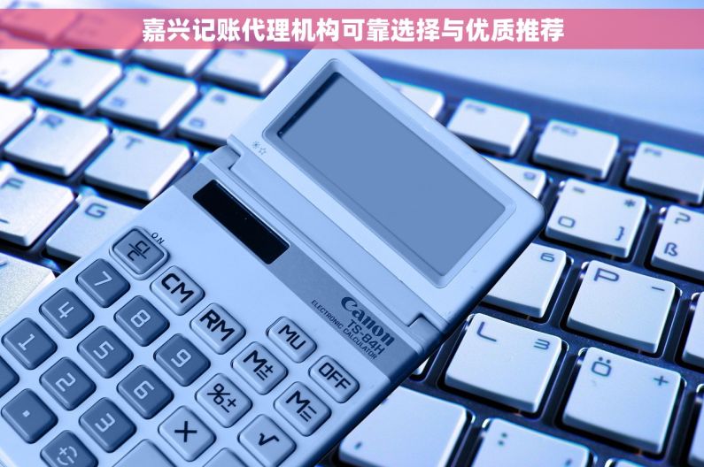 嘉兴记账代理机构可靠选择与优质推荐