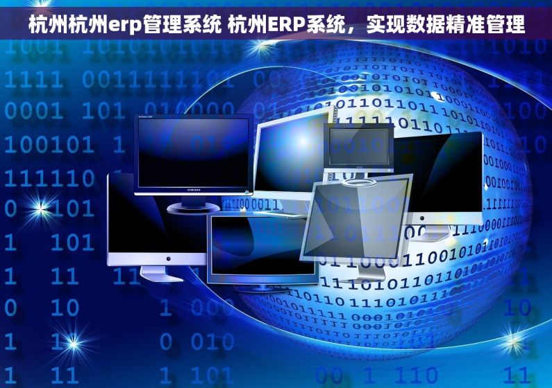 杭州杭州erp管理系统 杭州ERP系统，实现数据精准管理