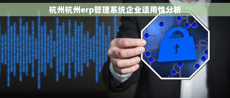 杭州杭州erp管理系统企业适用性分析