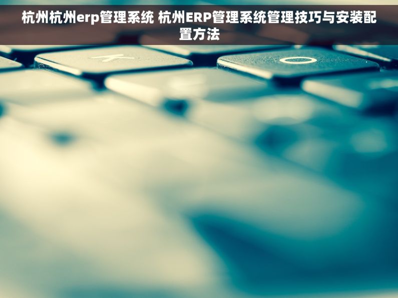 杭州杭州erp管理系统 杭州ERP管理系统管理技巧与安装配置方法