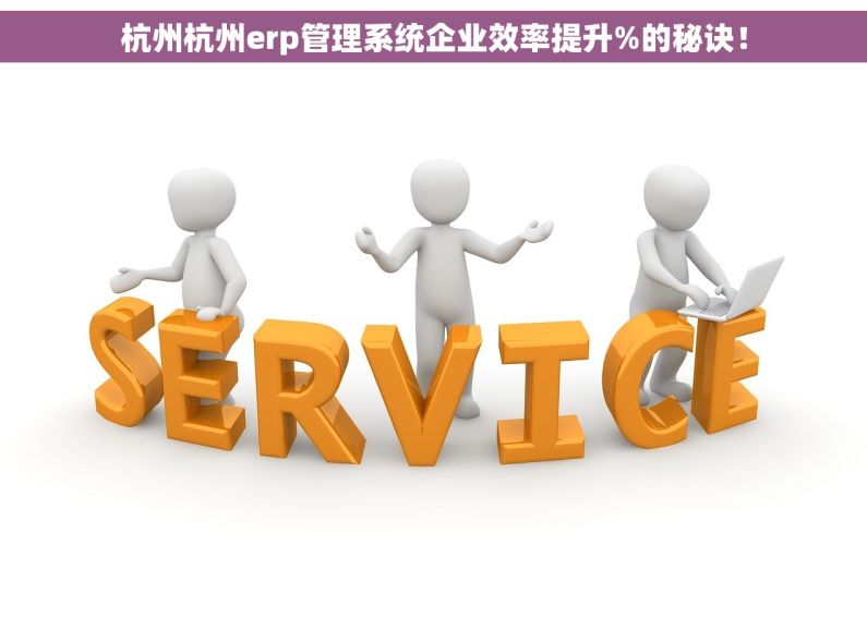 杭州杭州erp管理系统企业效率提升%的秘诀！