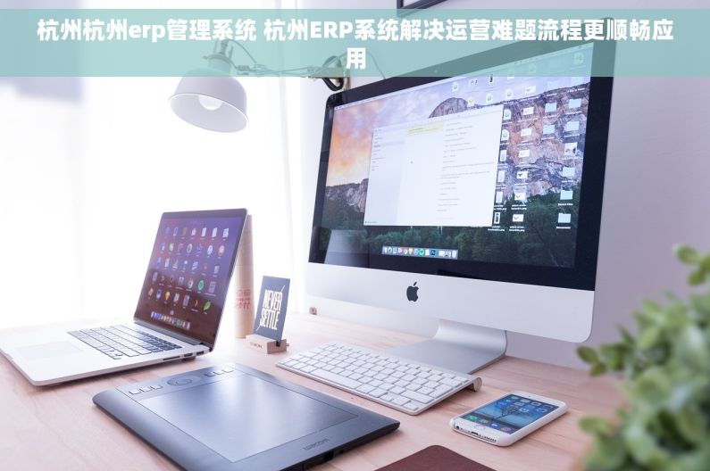 杭州杭州erp管理系统 杭州ERP系统解决运营难题流程更顺畅应用