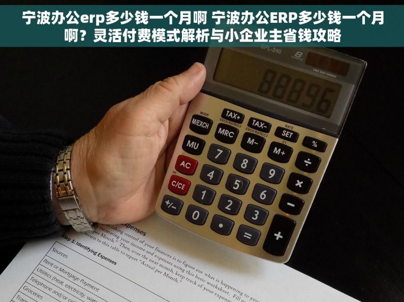 宁波办公erp多少钱一个月啊 宁波办公ERP多少钱一个月啊？灵活付费模式解析与小企业主省钱攻略