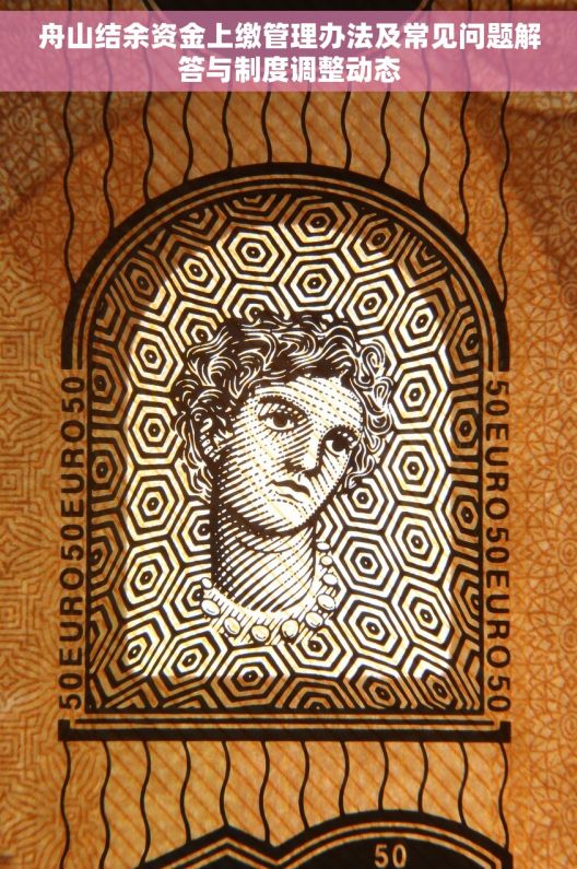 舟山结余资金上缴管理办法及常见问题解答与制度调整动态