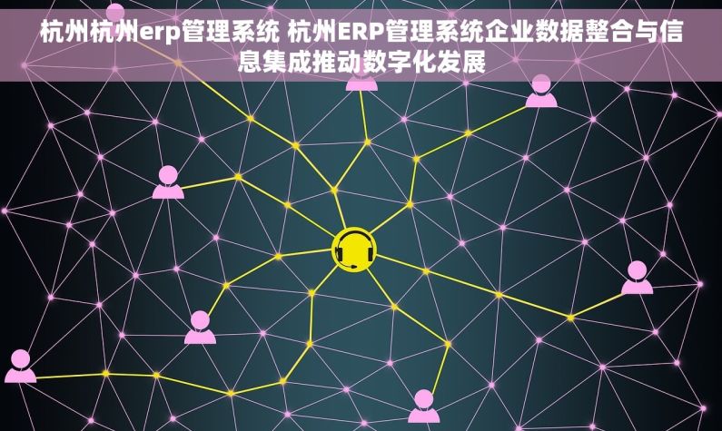 杭州杭州erp管理系统 杭州ERP管理系统企业数据整合与信息集成推动数字化发展