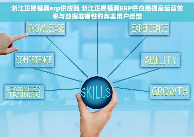 浙江正规模具erp供应商 浙江正规模具ERP供应商提高运营效率与数据准确性的真实用户反馈