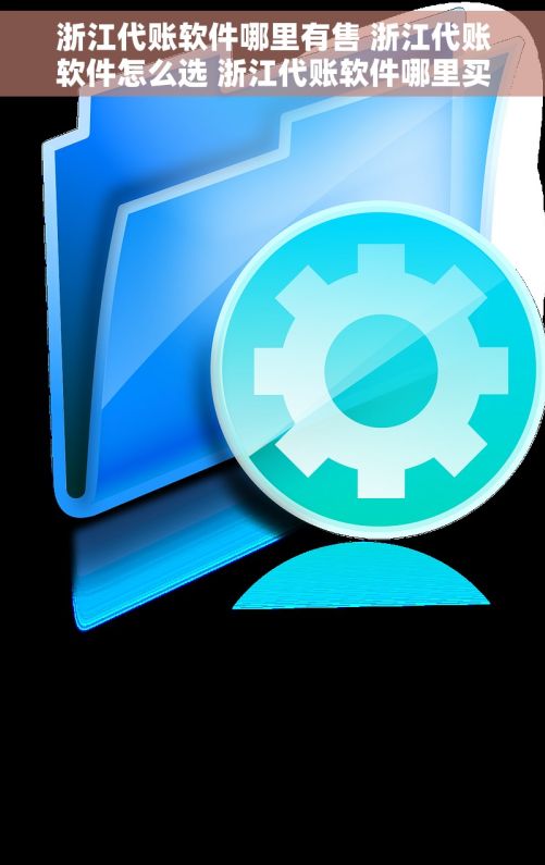 浙江代账软件哪里有售 浙江代账软件怎么选 浙江代账软件哪里买