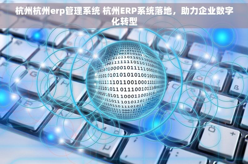杭州杭州erp管理系统 杭州ERP系统落地，助力企业数字化转型