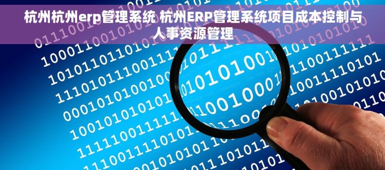 杭州杭州erp管理系统 杭州ERP管理系统项目成本控制与人事资源管理