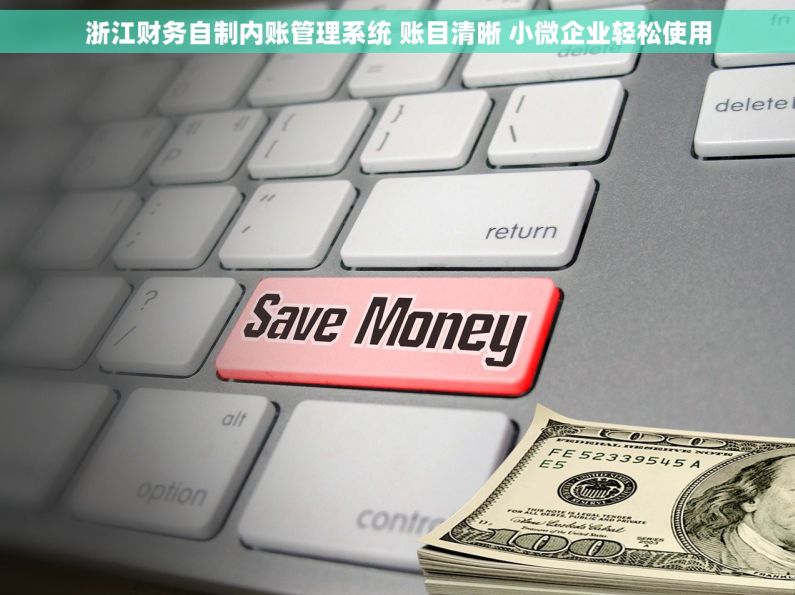 浙江财务自制内账管理系统 账目清晰 小微企业轻松使用