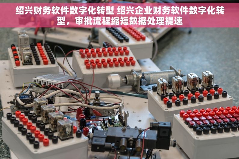 绍兴财务软件数字化转型 绍兴企业财务软件数字化转型，审批流程缩短数据处理提速