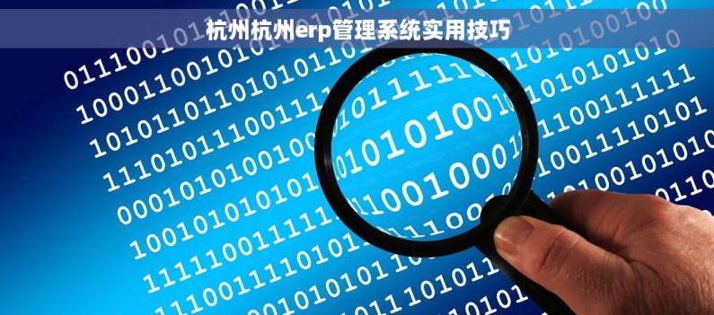 杭州杭州erp管理系统实用技巧