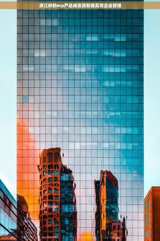 浙江好的erp产品线实现智能高效企业管理
