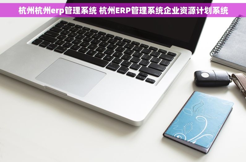 杭州杭州erp管理系统 杭州ERP管理系统企业资源计划系统