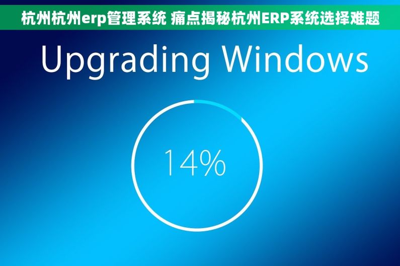 杭州杭州erp管理系统 痛点揭秘杭州ERP系统选择难题