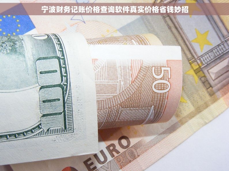 宁波财务记账价格查询软件真实价格省钱妙招