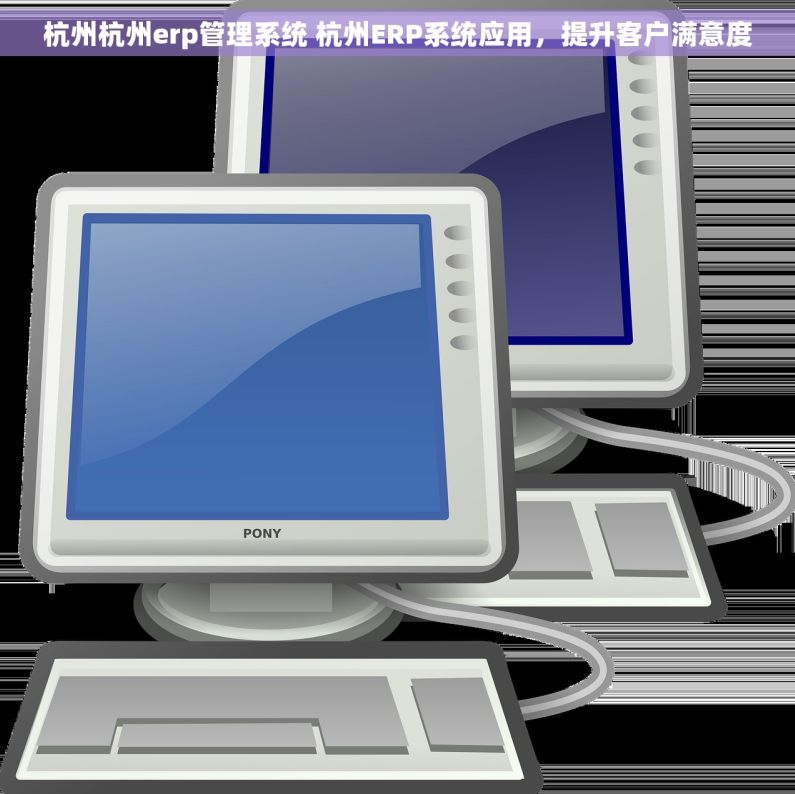 杭州杭州erp管理系统 杭州ERP系统应用，提升客户满意度