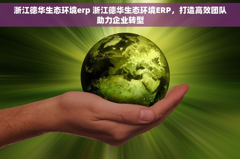 浙江德华生态环境erp 浙江德华生态环境ERP，打造高效团队助力企业转型