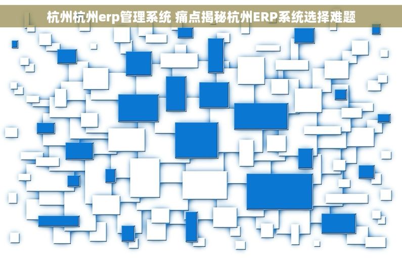 杭州杭州erp管理系统 痛点揭秘杭州ERP系统选择难题