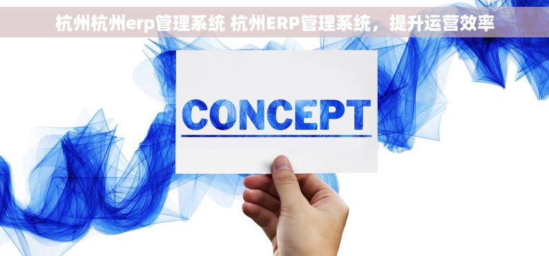 杭州杭州erp管理系统 杭州ERP管理系统，提升运营效率
