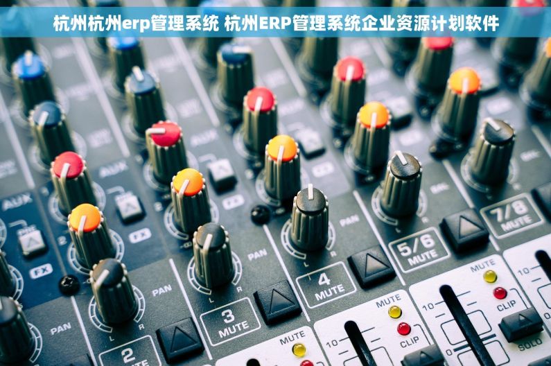 杭州杭州erp管理系统 杭州ERP管理系统企业资源计划软件