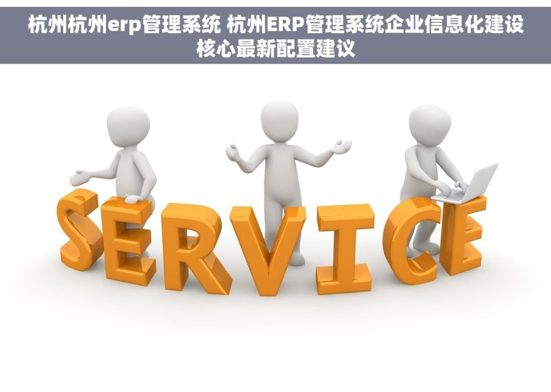 杭州杭州erp管理系统 杭州ERP管理系统企业信息化建设核心最新配置建议