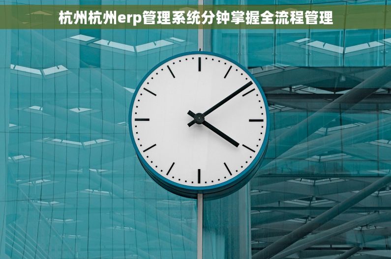 杭州杭州erp管理系统分钟掌握全流程管理 杭州杭州erp管理系统分钟掌握全流程管理