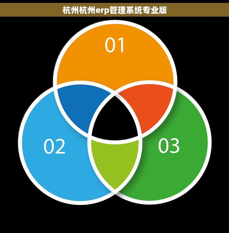 杭州杭州erp管理系统专业版